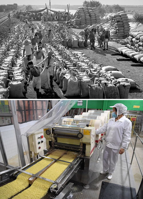 丰收印记 时光相册里的中原粮仓记忆