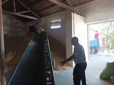 上杭南阳镇 多措并举抓好粮食收购，筑牢农民“放心售粮”与“有序收粮”双保障