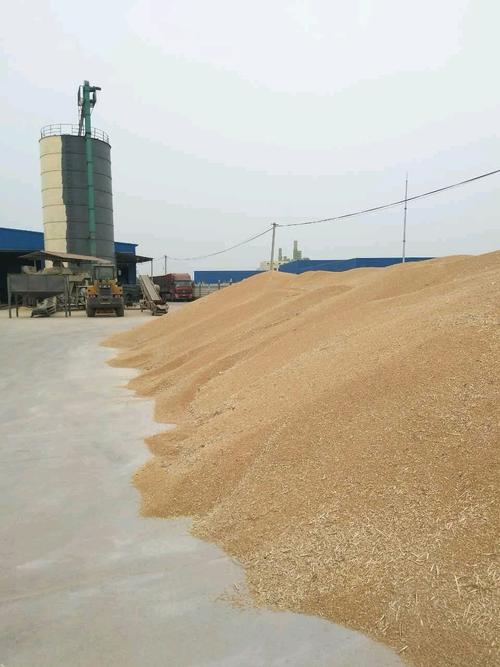 热烈祝贺河南省舞阳县耀山粮食购销站2018年度粮食收购与销售工作取得丰硕成果，为初级农产品流通注入新活力