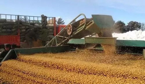 12项惠农新政落地，初级农产品收购迎利好，农民收入看涨