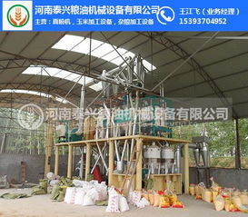 松原玉米加工产业发展探析 厂家、设备与收购全链条解析