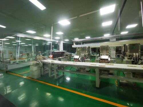 一线调研行 农发行滨州分行的夏粮收购与产业链支持实践